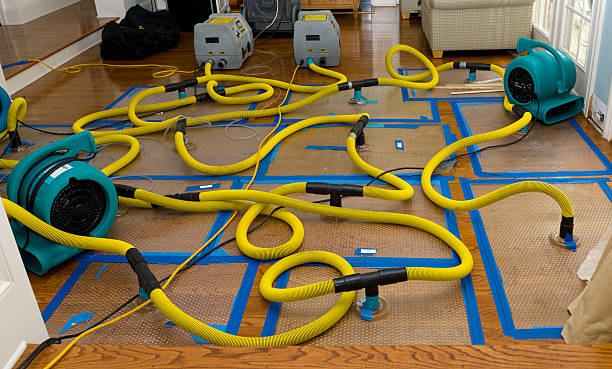 Professional Basement Flood Cleanup technician working in Bloomfield, IA